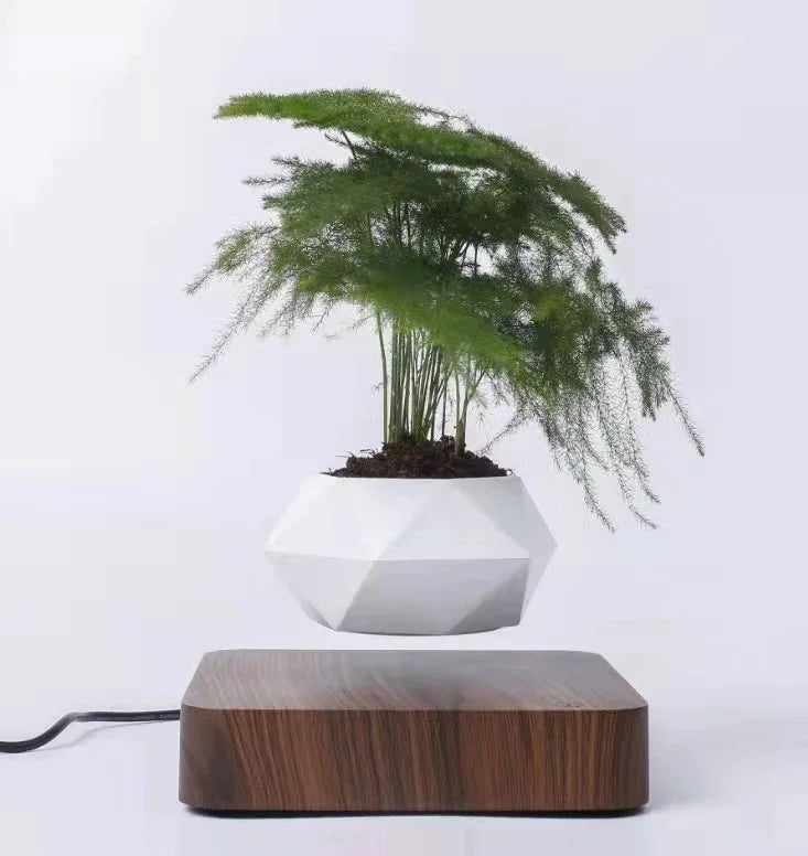 Levitating Flower Pot Modern Home Decoration | Holder - Product | Christmas Decorative (View 10)