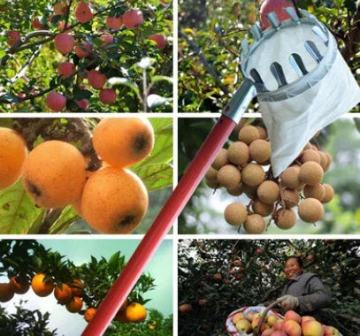 Fruit Picker Agricultural Garden Hardware Tools Picking - Gardening Tools | Christmas Decorative (View 4)