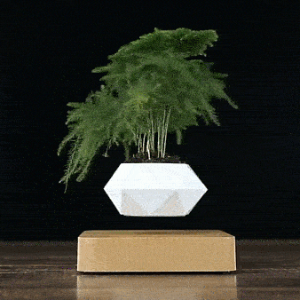 Levitating Flower Pot for Modern Home Decoration