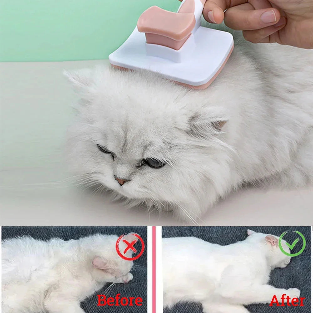 Pet Dog Hair Remover Grooming Accessories | Charger - Electronics > Power | Care Health (View 3)