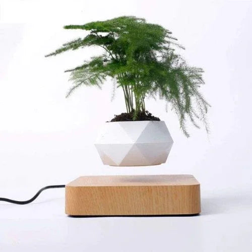 Levitating Flower Pot Modern Home Decoration | Holder - Product | Christmas Decorative (View 5)
