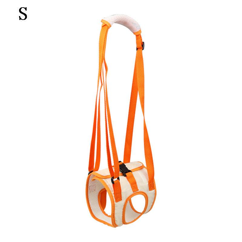 Pet Traction Care Injury Aid Belt | Converter - Apparel & Accessories > Clothing Accessories | Elegant Fashion (View 4)