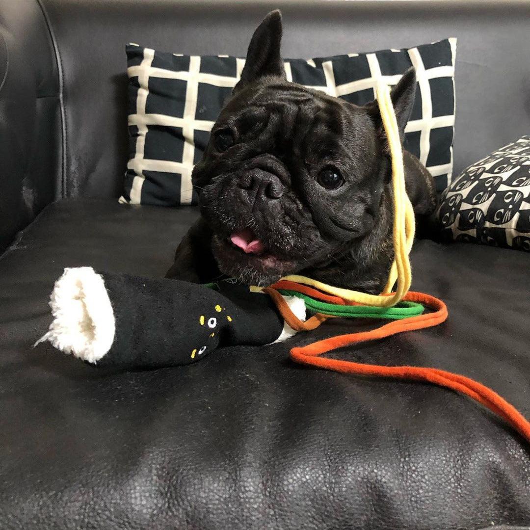 Pet Hidden Food Toys | Series Edition Model Gauge - Pet Toys | Harness (View 2)