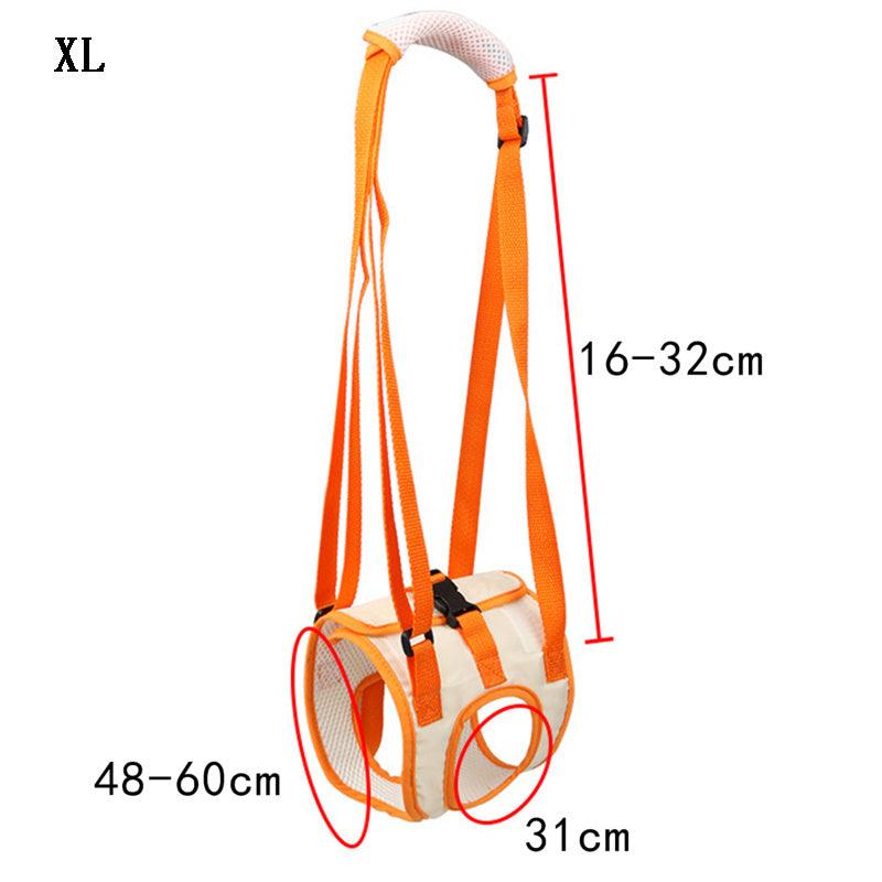 Pet Traction Care Injury Aid Belt | Converter - Apparel & Accessories > Clothing Accessories | Elegant Fashion (View 5)