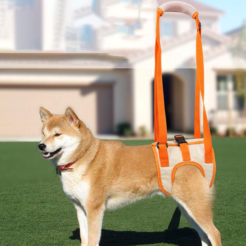 Pet Traction Care Injury Aid Belt | Converter - Apparel & Accessories > Clothing Accessories | Elegant Fashion