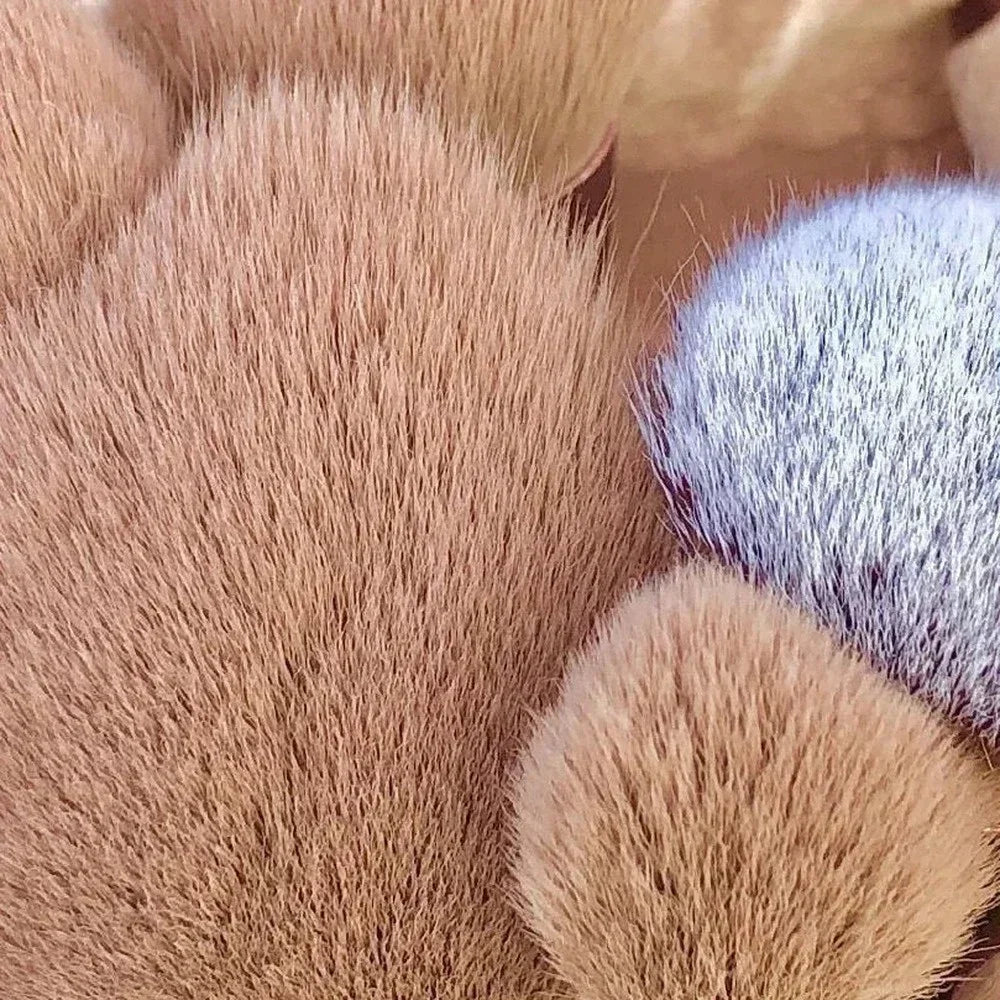 Pcs Makeup Brushes Set Eye Shadow Foundation Women - Face Mirrors | Brushes Care (View 2)