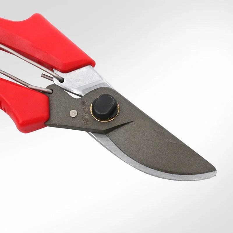 Garden Tools Fruit Tree Gardening Scissors | Measuring - Gardening Tools | 200Mm Christmas (View 4)